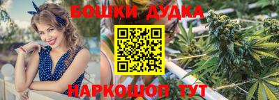 стаф Донецк