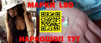 стаф Донецк