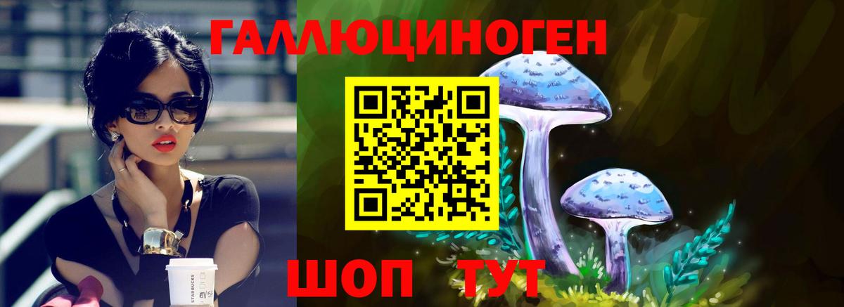 Галлюциногенные грибы Psilocybine cubensis Корсаков